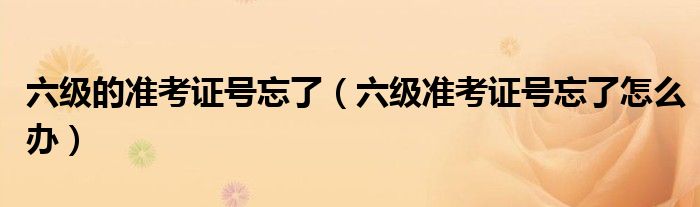 六級的準(zhǔn)考證號忘了（六級準(zhǔn)考證號忘了怎么辦）