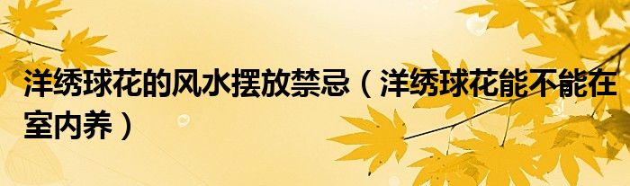 洋繡球花的風水擺放禁忌（洋繡球花能不能在室內(nèi)養(yǎng)）