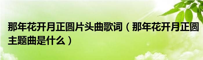 那年花開(kāi)月正圓片頭曲歌詞（那年花開(kāi)月正圓主題曲是什么）