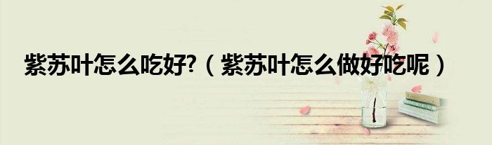 紫蘇葉怎么吃好?（紫蘇葉怎么做好吃呢）