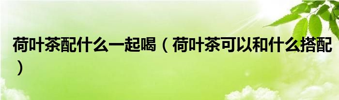 荷葉茶配什么一起喝（荷葉茶可以和什么搭配）
