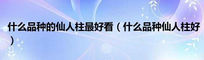 什么品種的仙人柱最好看（什么品種仙人柱好）