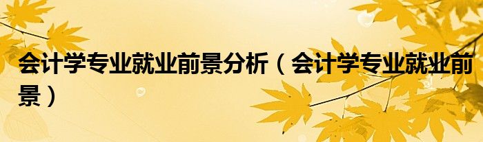 會計(jì)學(xué)專業(yè)就業(yè)前景分析（會計(jì)學(xué)專業(yè)就業(yè)前景）