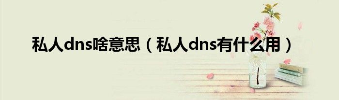 私人dns啥意思（私人dns有什么用）