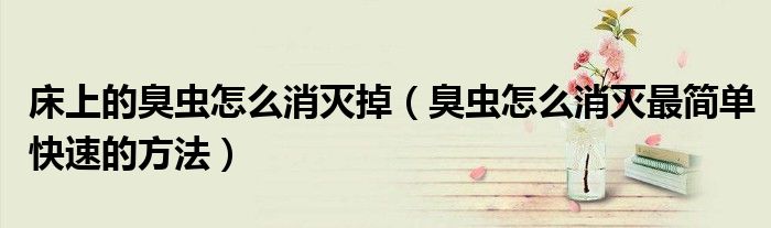 床上的臭蟲怎么消滅掉（臭蟲怎么消滅最簡單快速的方法）
