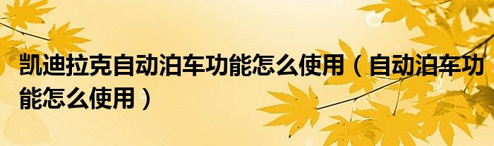 凱迪拉克自動(dòng)泊車功能怎么使用（自動(dòng)泊車功能怎么使用）