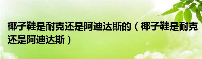 椰子鞋是耐克還是阿迪達(dá)斯的（椰子鞋是耐克還是阿迪達(dá)斯）