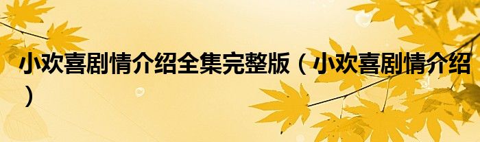 小歡喜劇情介紹全集完整版（小歡喜劇情介紹）