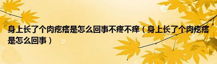 身上長(zhǎng)了個(gè)肉疙瘩是怎么回事不疼不癢（身上長(zhǎng)了個(gè)肉疙瘩是怎么回事）