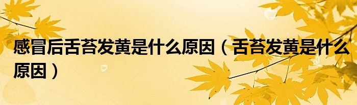 感冒后舌苔發(fā)黃是什么原因（舌苔發(fā)黃是什么原因）