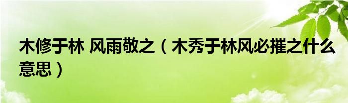 木修于林 風雨敬之（木秀于林風必摧之什么意思）
