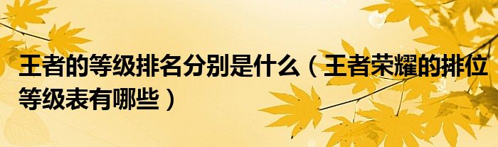 王者的等級(jí)排名分別是什么（王者榮耀的排位等級(jí)表有哪些）