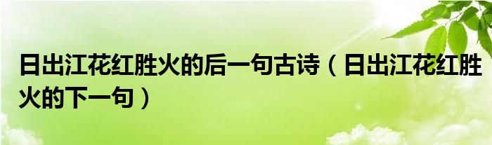 日出江花紅勝火的后一句古詩（日出江花紅勝火的下一句）