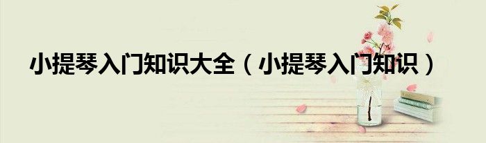 小提琴入門知識(shí)大全（小提琴入門知識(shí)）
