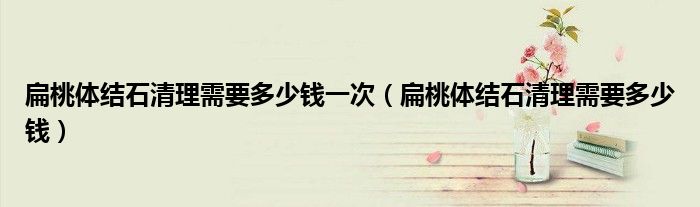 扁桃體結(jié)石清理需要多少錢一次（扁桃體結(jié)石清理需要多少錢）