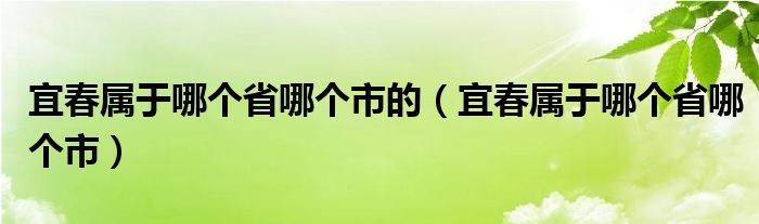 宜春屬于哪個省哪個市的（宜春屬于哪個省哪個市）