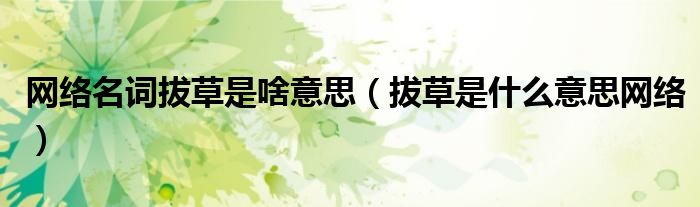 網(wǎng)絡(luò)名詞拔草是啥意思（拔草是什么意思網(wǎng)絡(luò)）