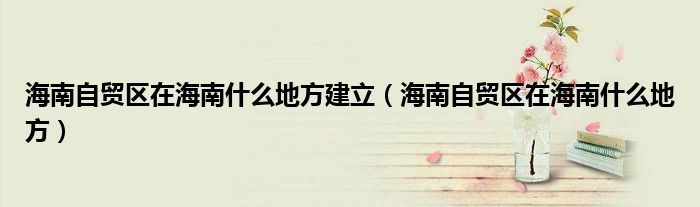 海南自貿(mào)區(qū)在海南什么地方建立（海南自貿(mào)區(qū)在海南什么地方）