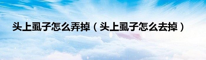 頭上虱子怎么弄掉（頭上虱子怎么去掉）