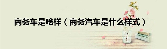 商務(wù)車是啥樣（商務(wù)汽車是什么樣式）