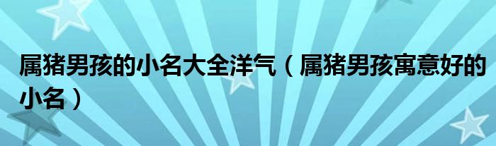 屬豬男孩的小名大全洋氣（屬豬男孩寓意好的小名）