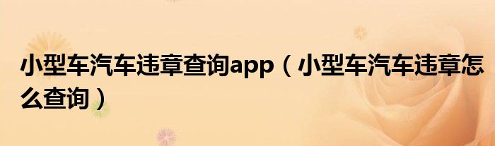 小型車汽車違章查詢app（小型車汽車違章怎么查詢）