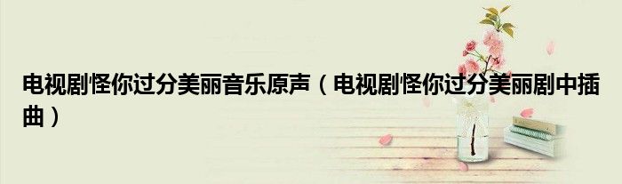 電視劇怪你過分美麗音樂原聲（電視劇怪你過分美麗劇中插曲）