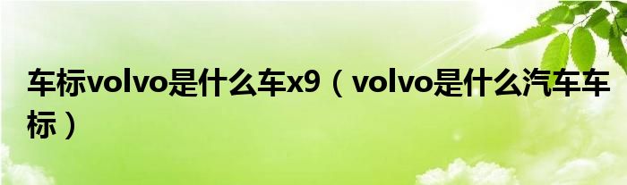 車標volvo是什么車x9（volvo是什么汽車車標）