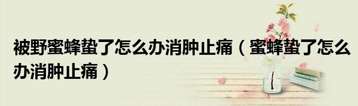 被野蜜蜂蟄了怎么辦消腫止痛（蜜蜂蟄了怎么辦消腫止痛）