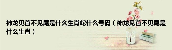神龍見(jiàn)首不見(jiàn)尾是什么生肖蛇什么號(hào)碼（神龍見(jiàn)首不見(jiàn)尾是什么生肖）