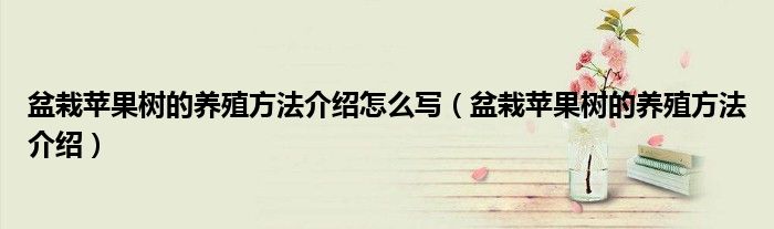 盆栽蘋(píng)果樹(shù)的養(yǎng)殖方法介紹怎么寫(xiě)（盆栽蘋(píng)果樹(shù)的養(yǎng)殖方法介紹）