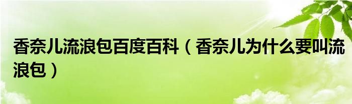 香奈兒流浪包百度百科（香奈兒為什么要叫流浪包）