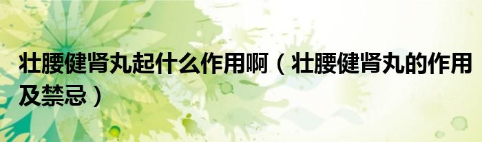 壯腰健腎丸起什么作用啊（壯腰健腎丸的作用及禁忌）