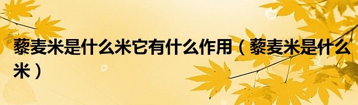 藜麥米是什么米它有什么作用（藜麥米是什么米）