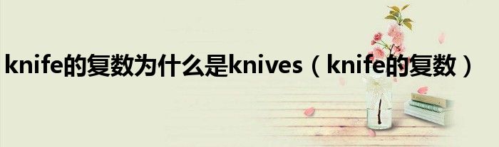 knife的復數(shù)為什么是knives（knife的復數(shù)）