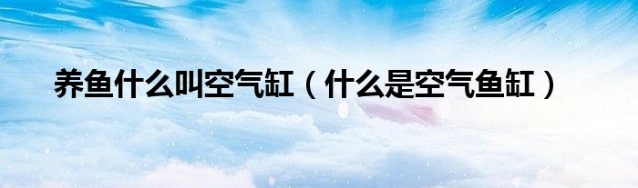養(yǎng)魚什么叫空氣缸（什么是空氣魚缸）