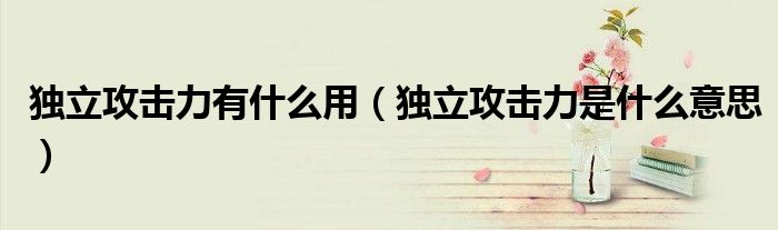 獨(dú)立攻擊力有什么用（獨(dú)立攻擊力是什么意思）