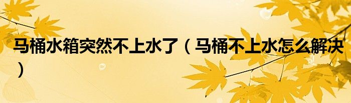 馬桶水箱突然不上水了（馬桶不上水怎么解決）