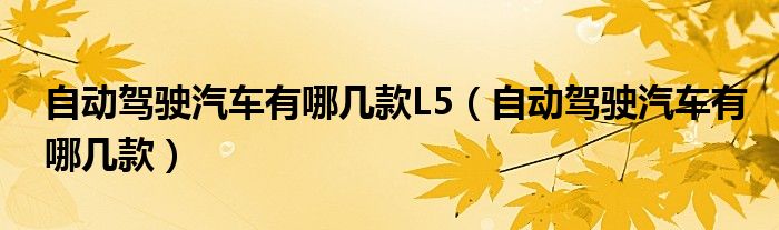 自動(dòng)駕駛汽車(chē)有哪幾款L5（自動(dòng)駕駛汽車(chē)有哪幾款）