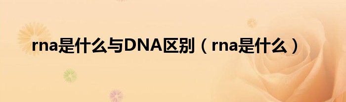 rna是什么與DNA區(qū)別（rna是什么）
