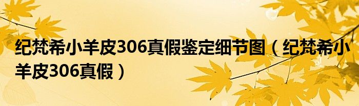 紀(jì)梵希小羊皮306真假鑒定細(xì)節(jié)圖（紀(jì)梵希小羊皮306真假）