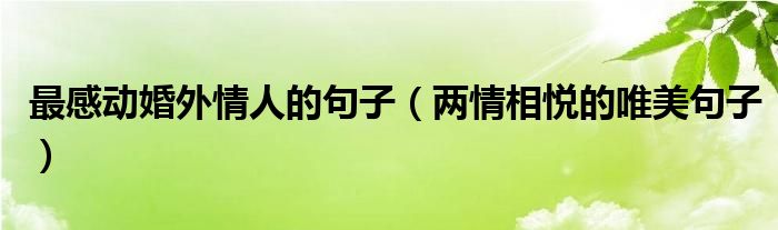 最感動(dòng)婚外情人的句子（兩情相悅的唯美句子）