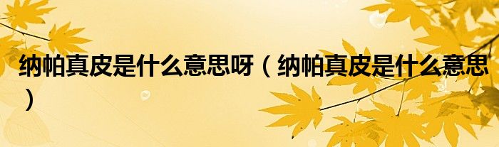 納帕真皮是什么意思呀（納帕真皮是什么意思）