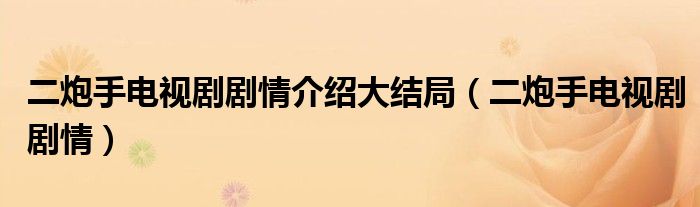 二炮手電視劇劇情介紹大結(jié)局（二炮手電視劇劇情）
