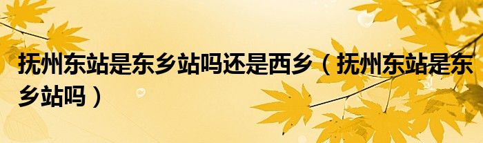 撫州東站是東鄉(xiāng)站嗎還是西鄉(xiāng)（撫州東站是東鄉(xiāng)站嗎）