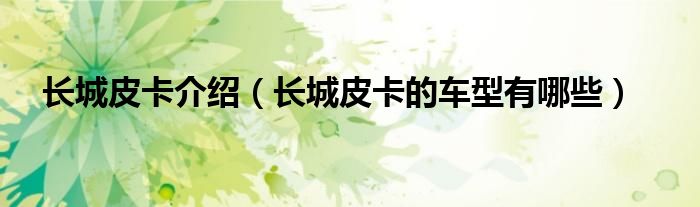 長城皮卡介紹（長城皮卡的車型有哪些）