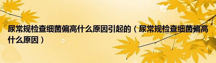 尿常規(guī)檢查細菌偏高什么原因引起的（尿常規(guī)檢查細菌偏高什么原因）