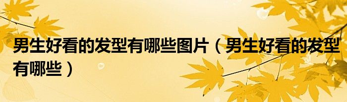 男生好看的發(fā)型有哪些圖片（男生好看的發(fā)型有哪些）