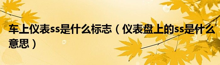車上儀表ss是什么標(biāo)志（儀表盤上的ss是什么意思）