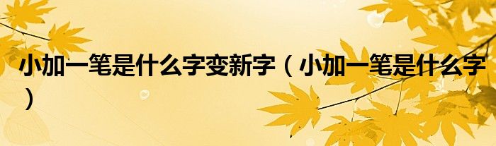 小加一筆是什么字變新字（小加一筆是什么字）